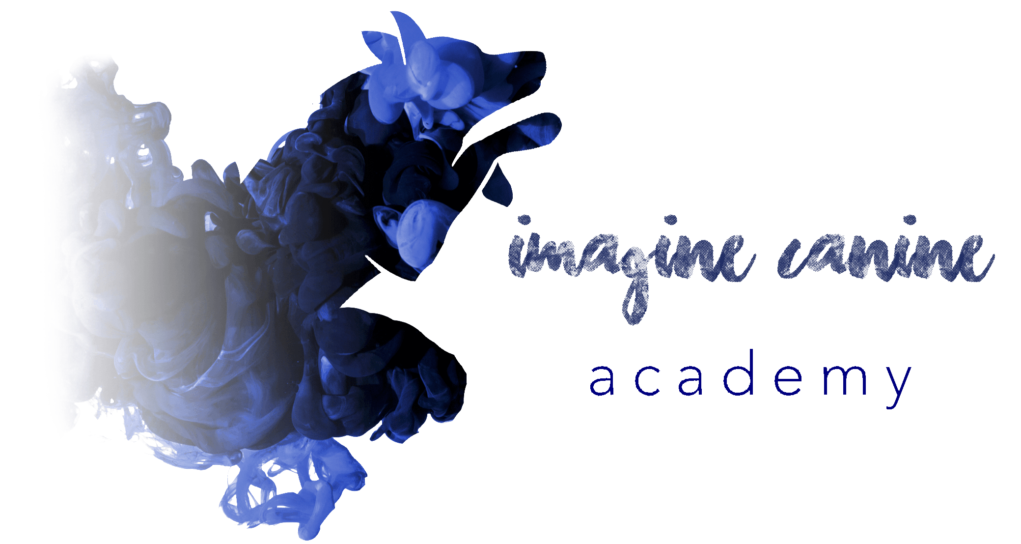 Imagine canine academy logo